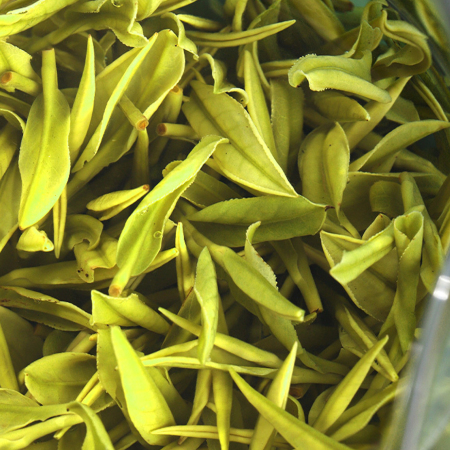 安吉白茶(凤形)-茶吉送